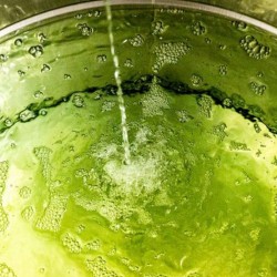 Honey and sage emerald mouthwash