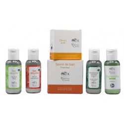 copy of Gift box damoiselle...