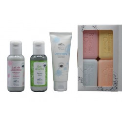 copy of Gift box damoiselle...