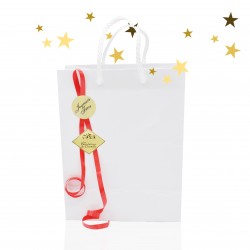 Special gift bag - Merry Christmas