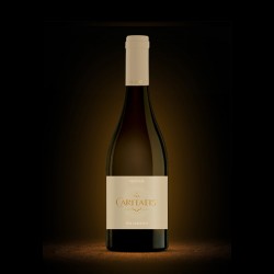 White Wine Vox Caritatis...