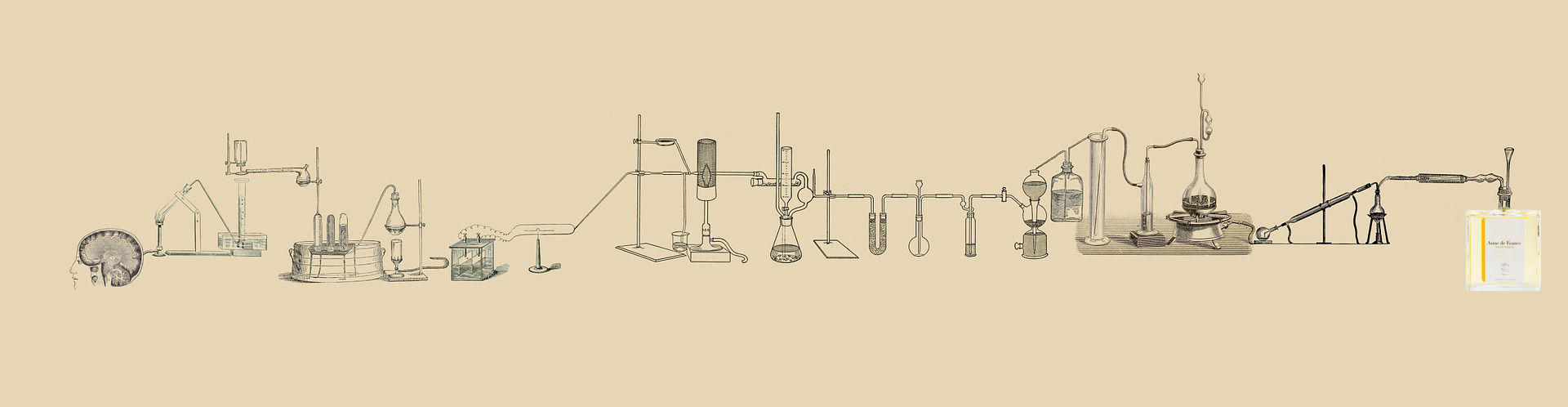 Conception Cosmétique Soin Peau monastique